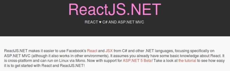Reactjs - javascript application framework